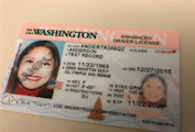 washington fake id from hardcoreid.com